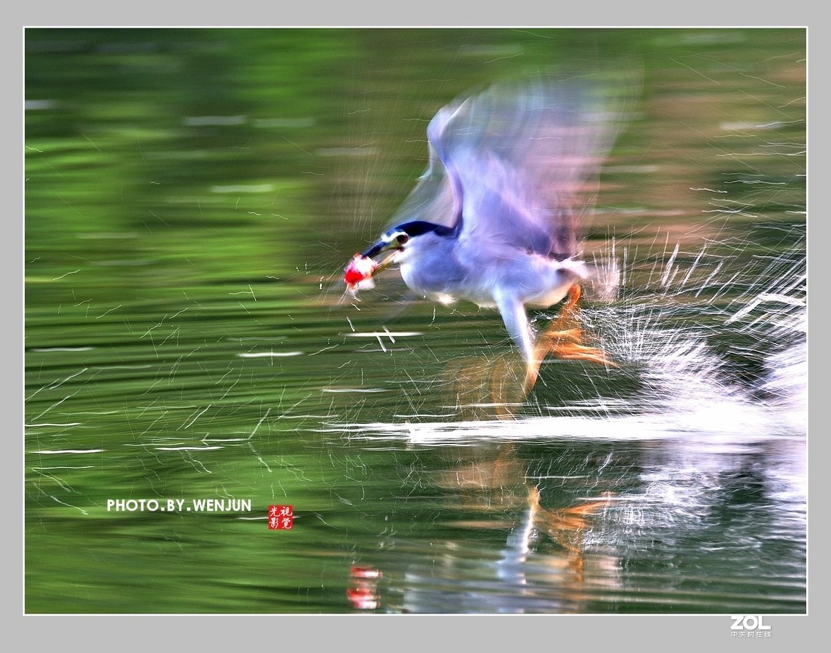 #回顾2019# 我购买了一台尼康D500