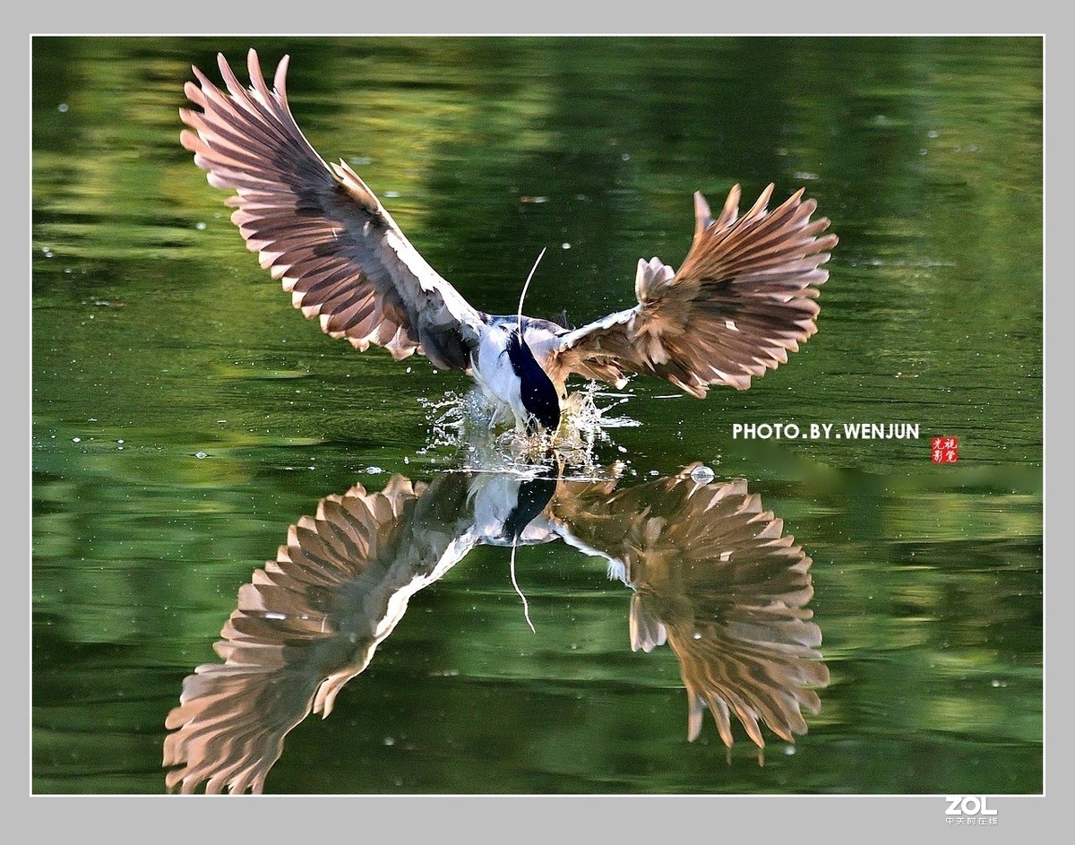 #回顾2019# 我购买了一台尼康D500