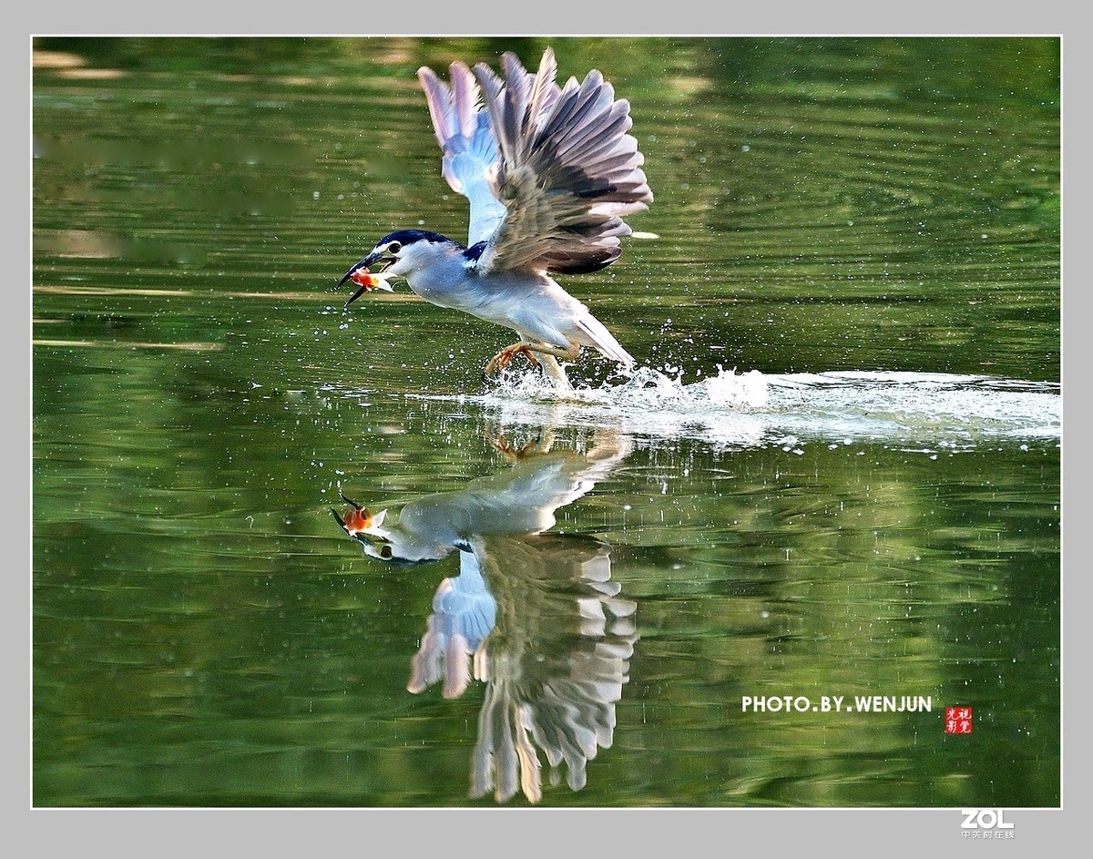 #回顾2019# 我购买了一台尼康D500