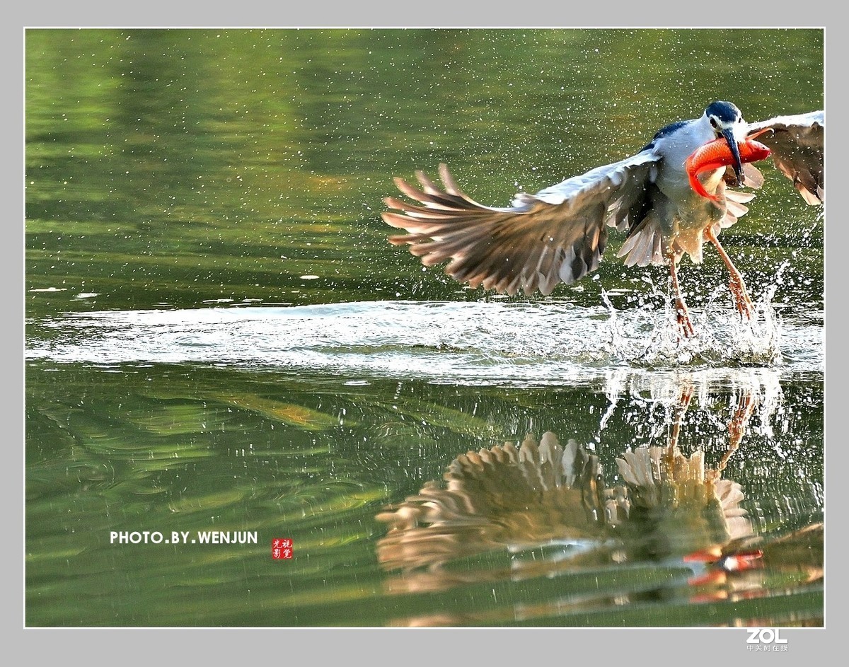 #回顾2019# 我购买了一台尼康D500