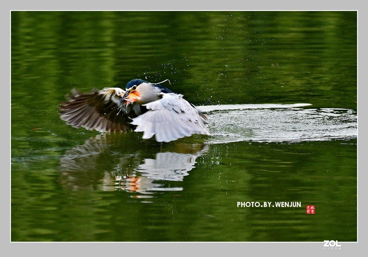 #回顾2019# 我购买了一台尼康D500