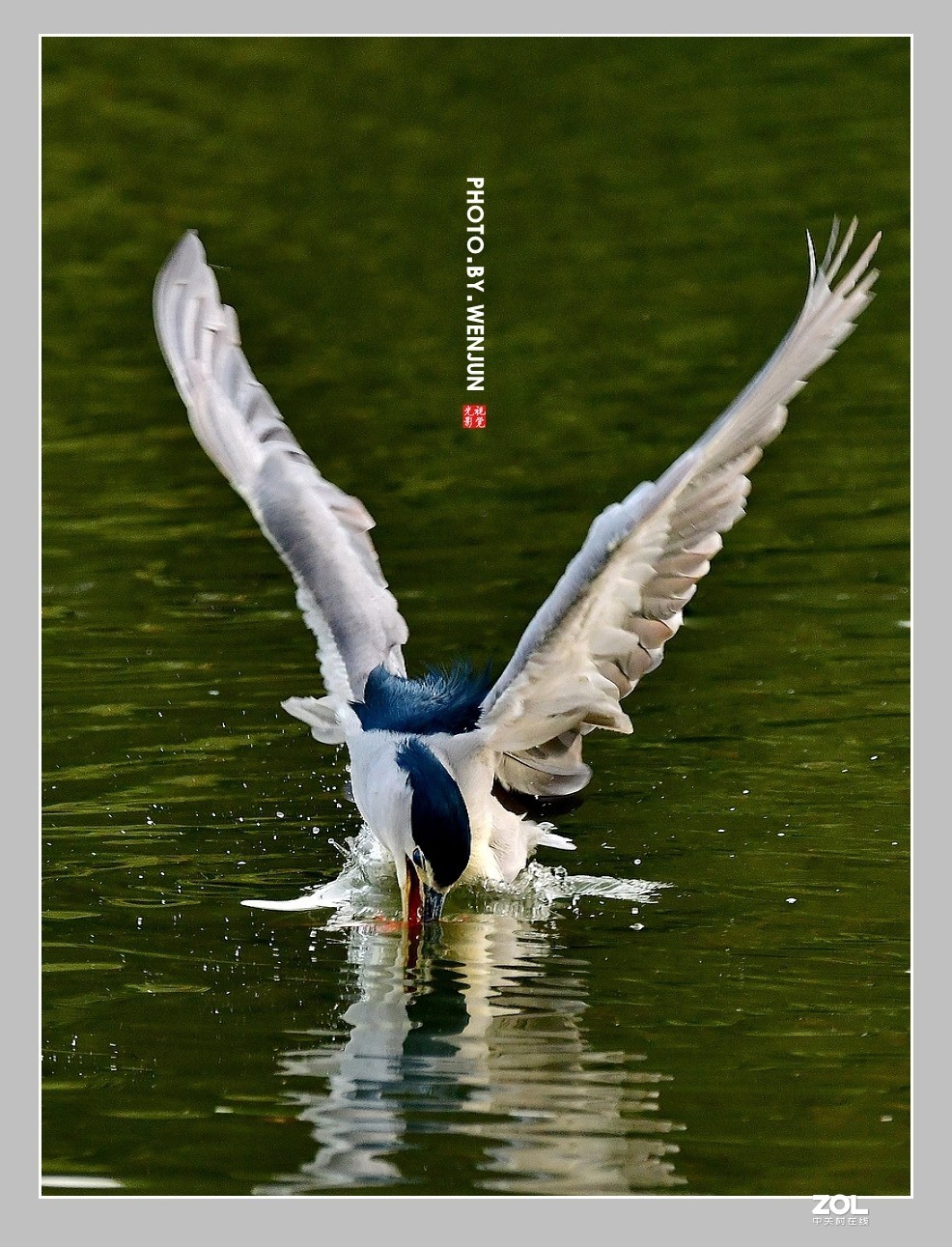 #回顾2019# 我购买了一台尼康D500