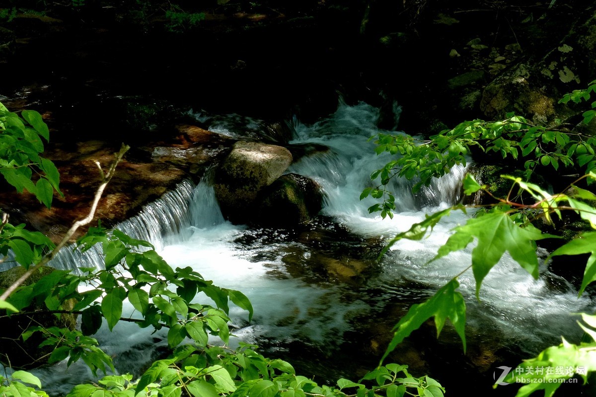 山間溪水