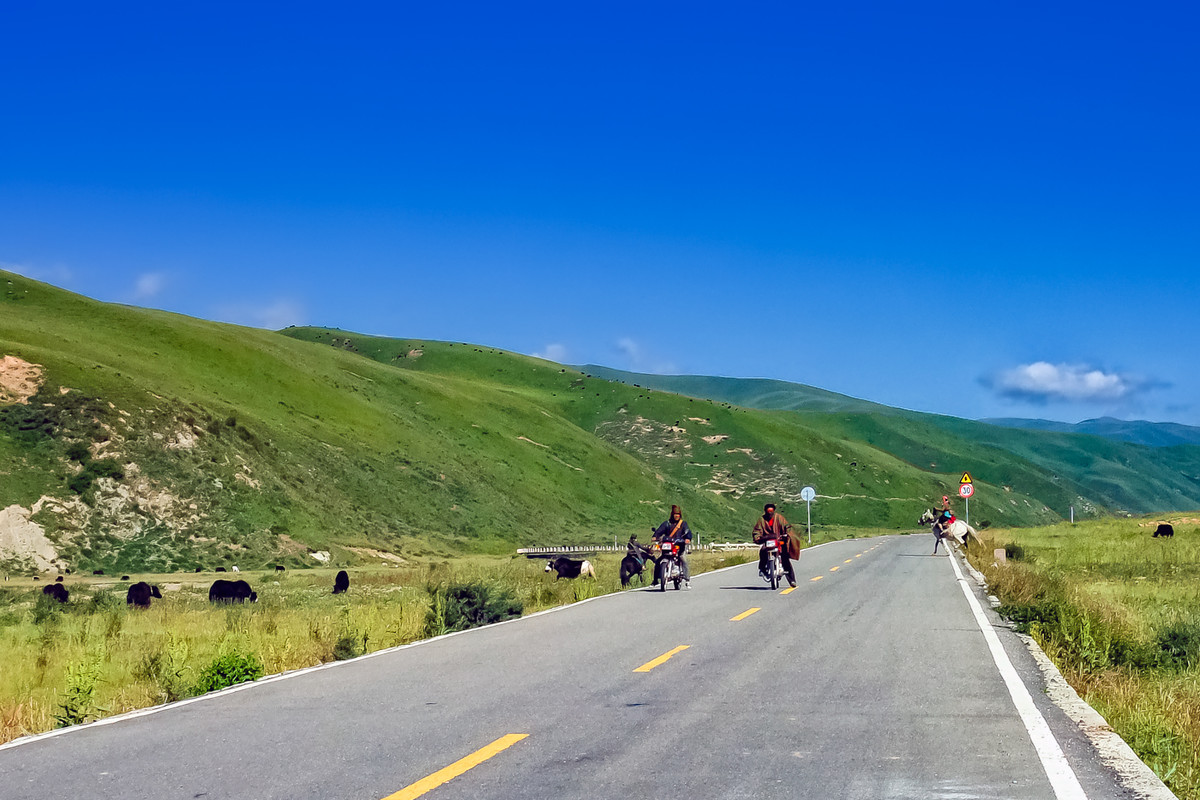 川西阿坝州风光 《红原大草原》