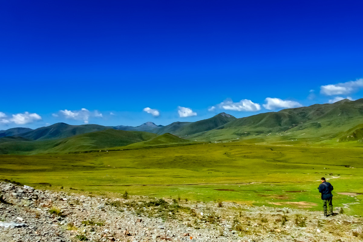 川西阿坝州风光 《红原大草原》