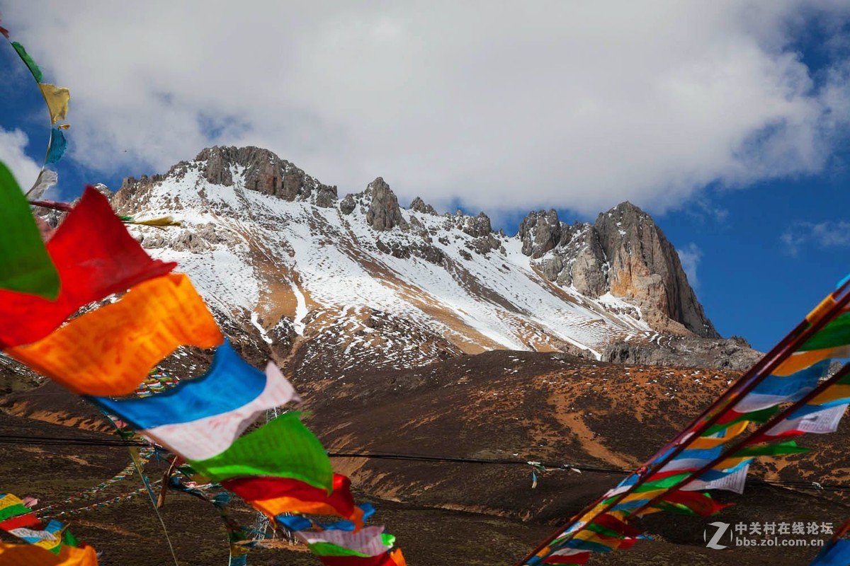 云南行--白马雪山