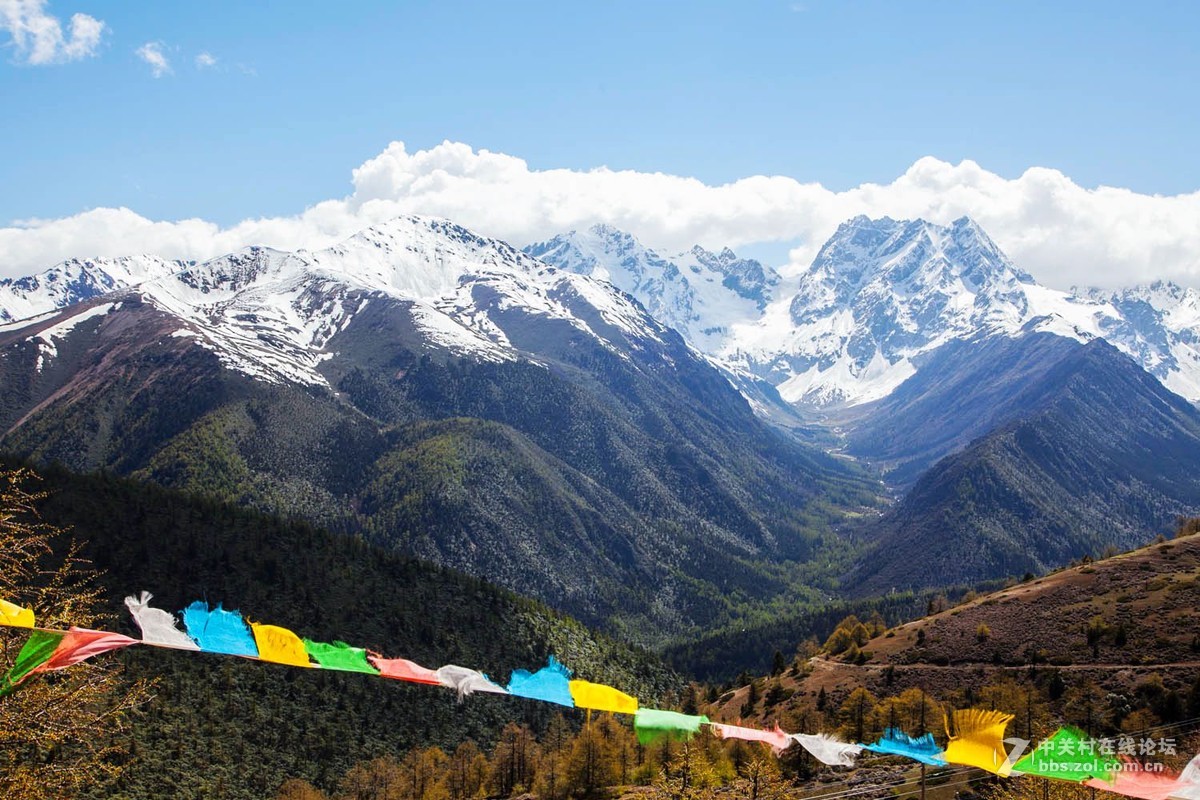 云南行--白马雪山