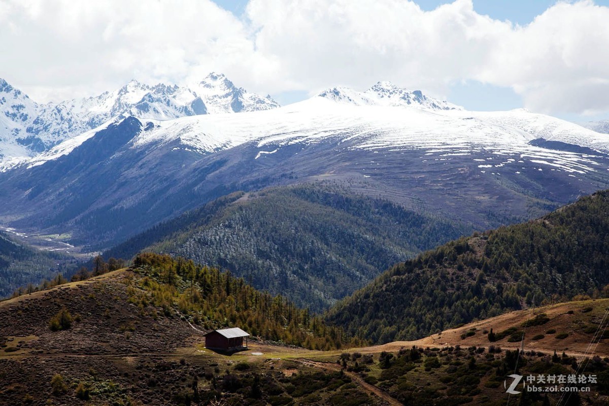 云南行--白马雪山