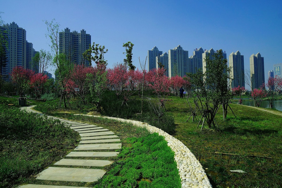 武汉印象----初春的城中湖风光--续（一）！。。。。。。。。。