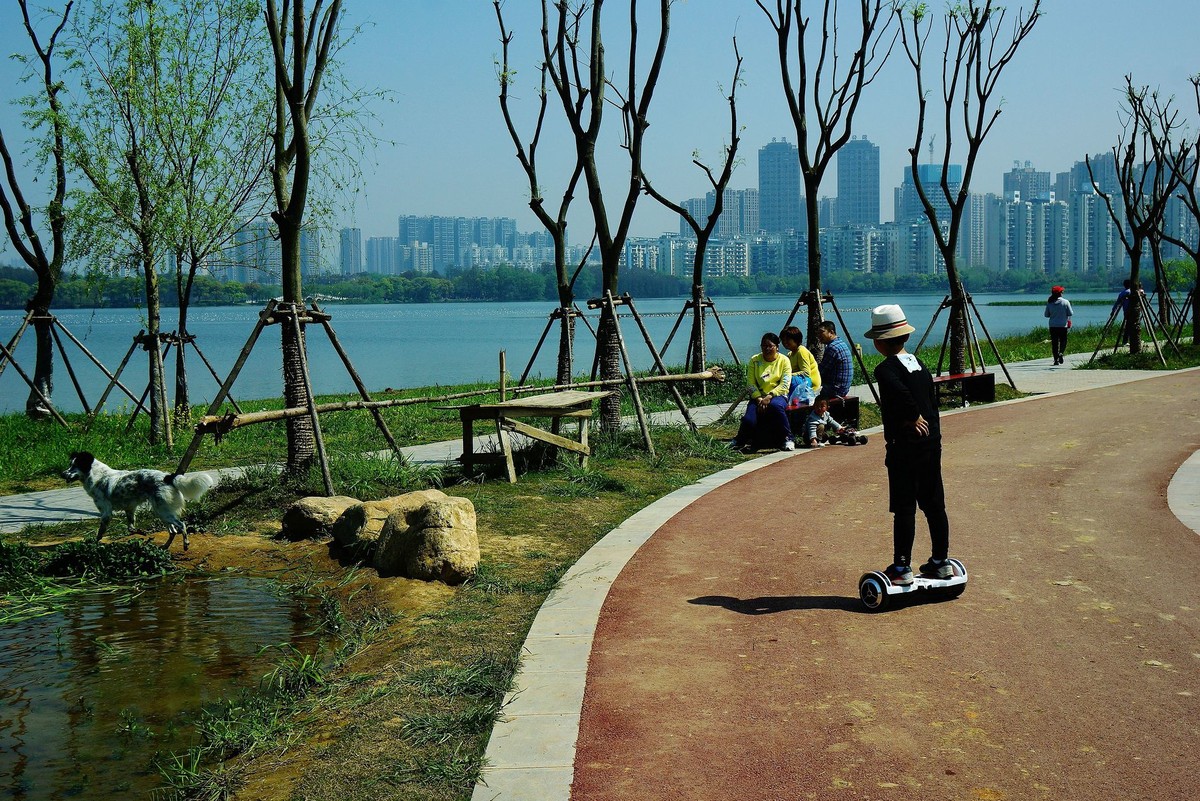 武汉印象----初春的城中湖风光--续（一）！。。。。。。。。。