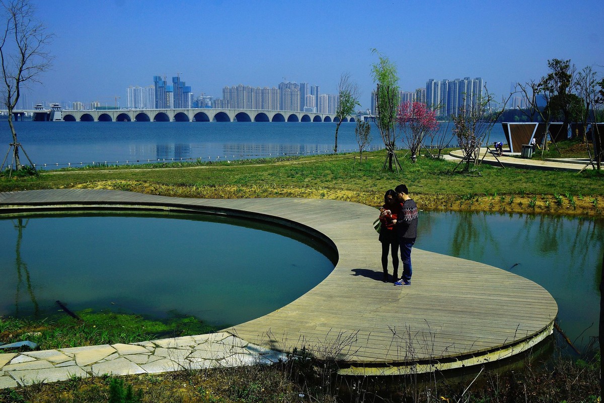 武汉印象----初春的城中湖风光--续（一）！。。。。。。。。。