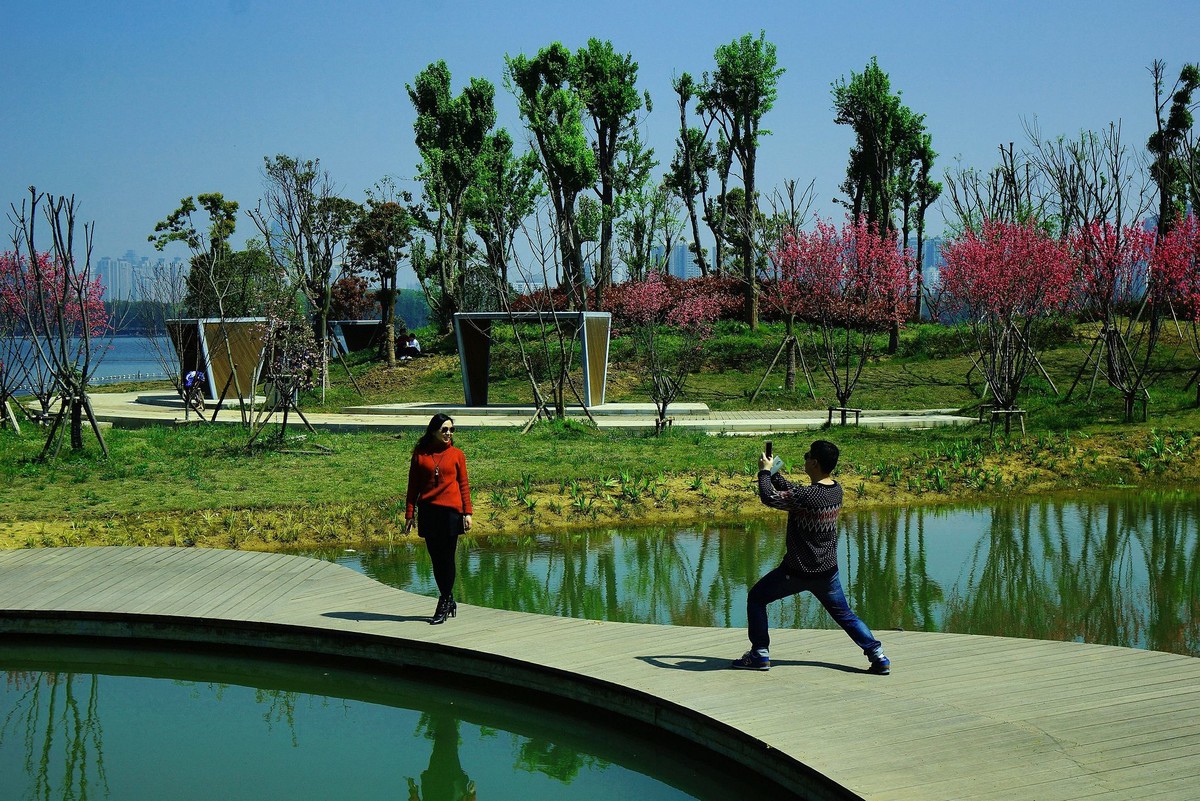 武汉印象----初春的城中湖风光--续（一）！。。。。。。。。。