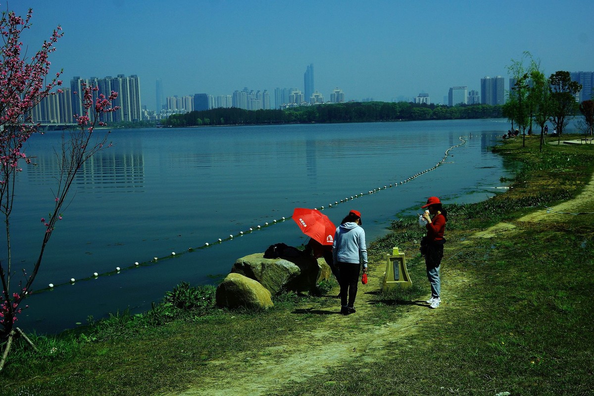 武汉印象----初春的城中湖风光--续（一）！。。。。。。。。。