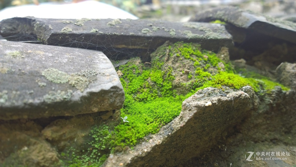 2017年秋天的一组照片，请大家观赏！！！