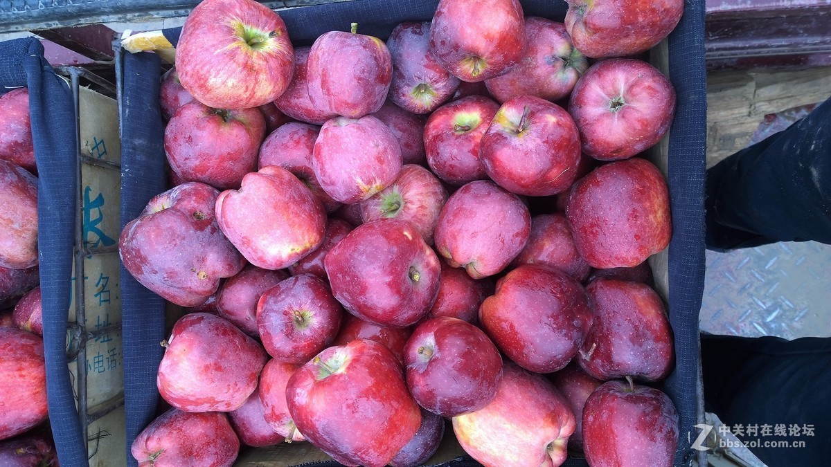 2017年秋天的一组照片，请大家观赏！！！