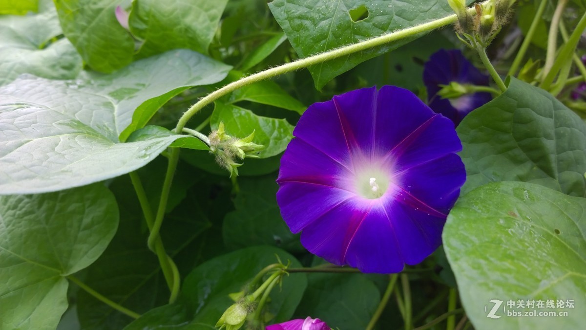 2017年秋天的一组照片，请大家观赏！！！