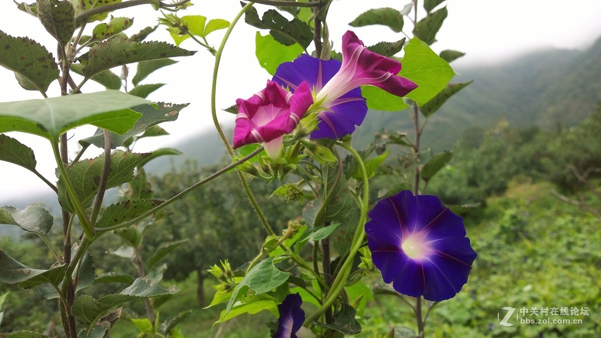 2017年秋天的一组照片，请大家观赏！！！