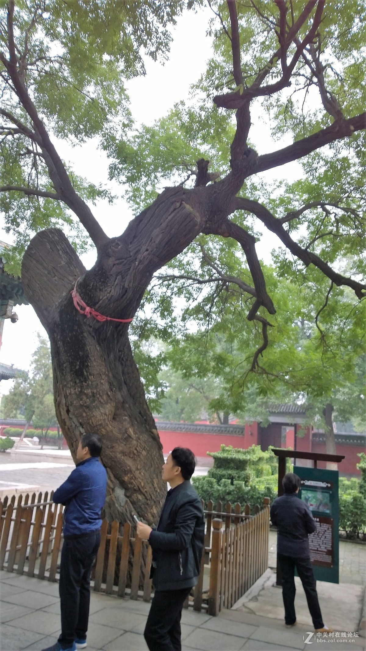 2017年秋天的一组照片，请大家观赏！！！