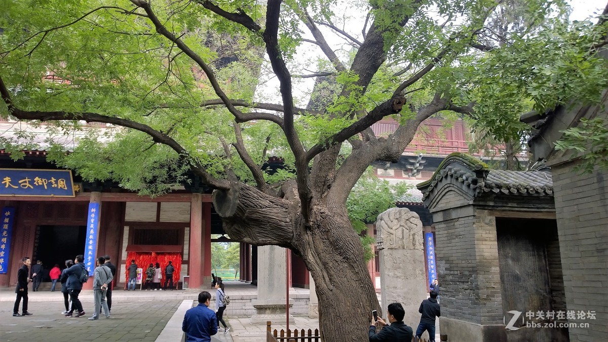 2017年秋天的一组照片，请大家观赏！！！