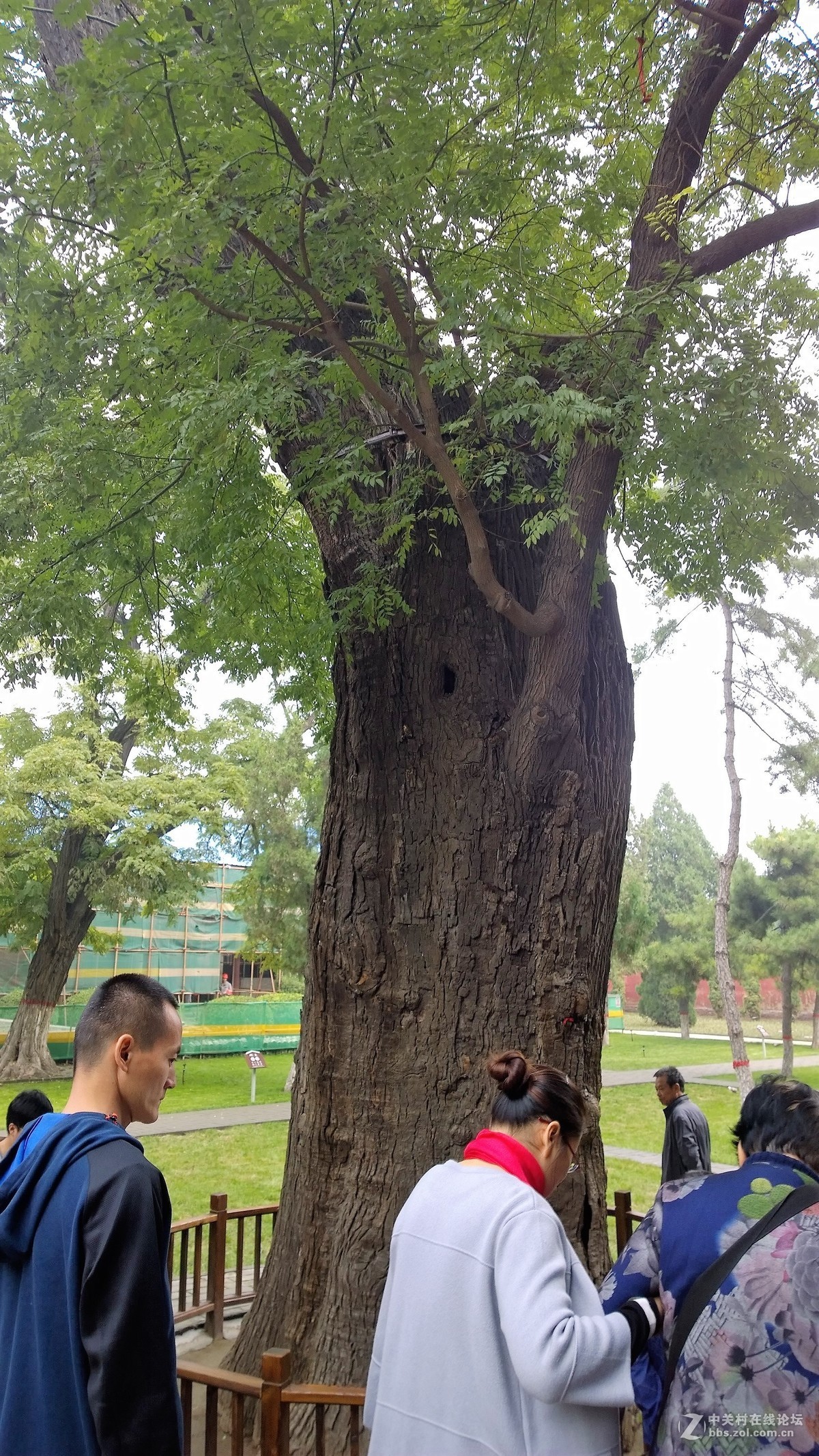 2017年秋天的一组照片，请大家观赏！！！