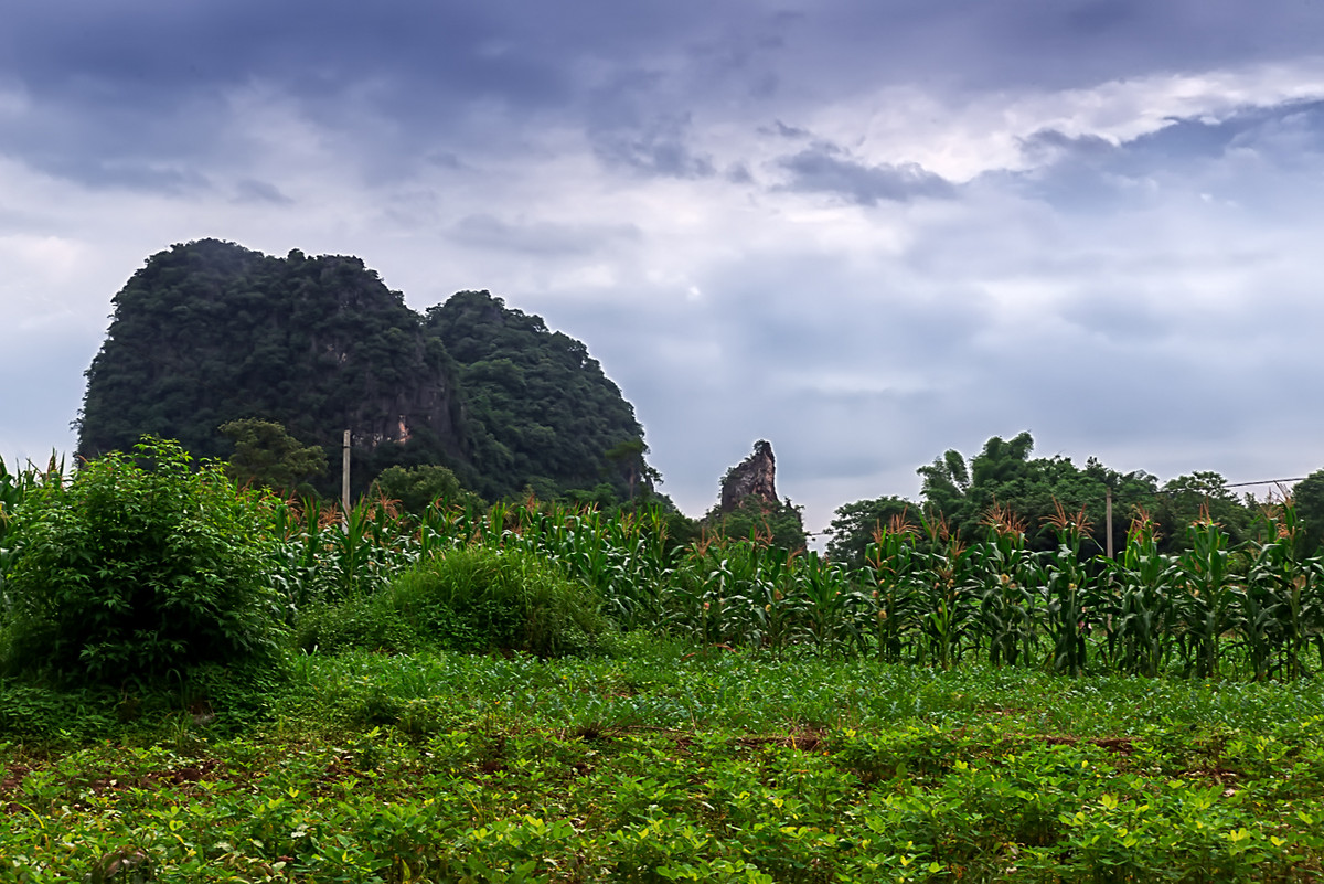江南行 （74） 《走进阳朔》