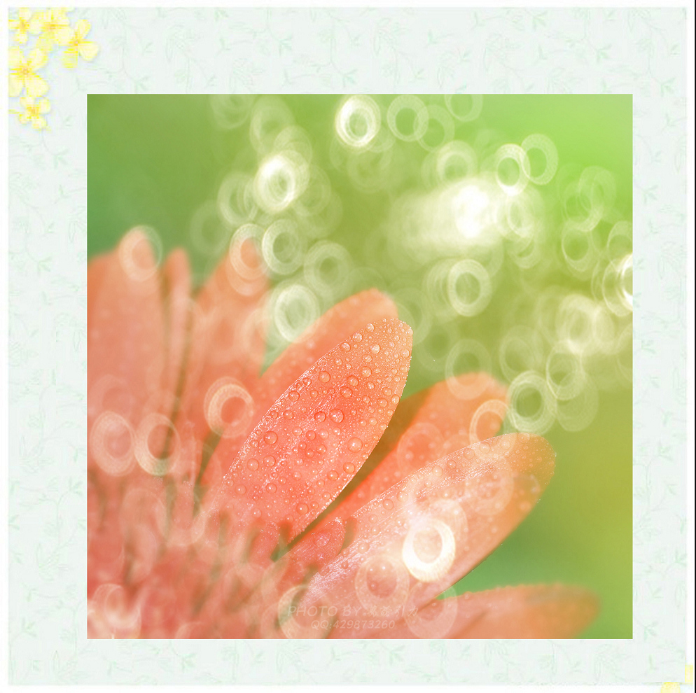 #ZOL月赛—你好2016# 小 鲜 肉  ... ...