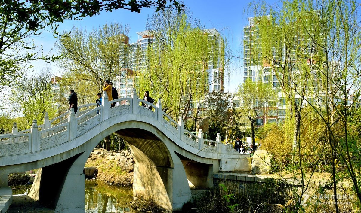 天津长虹公园随拍