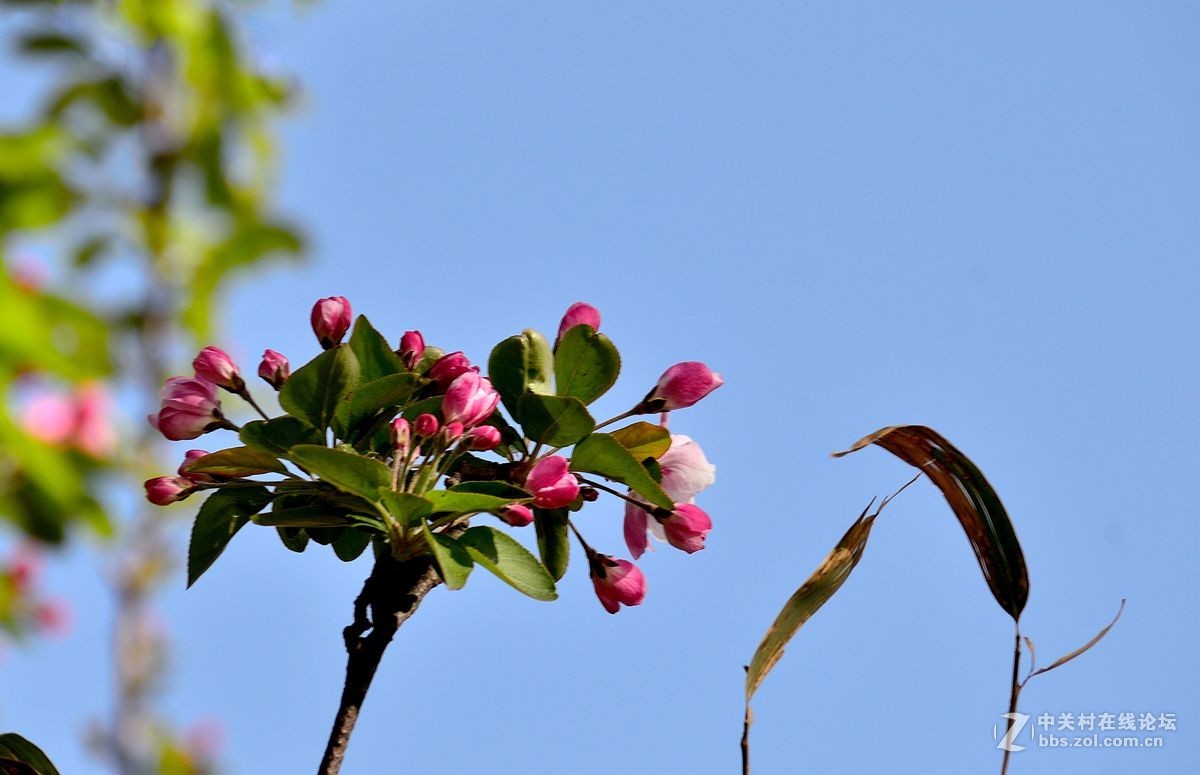 天津长虹公园随拍