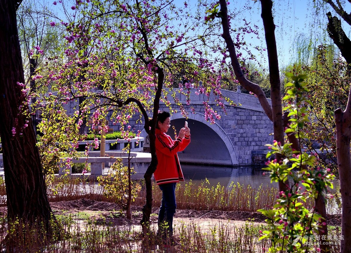 天津长虹公园随拍
