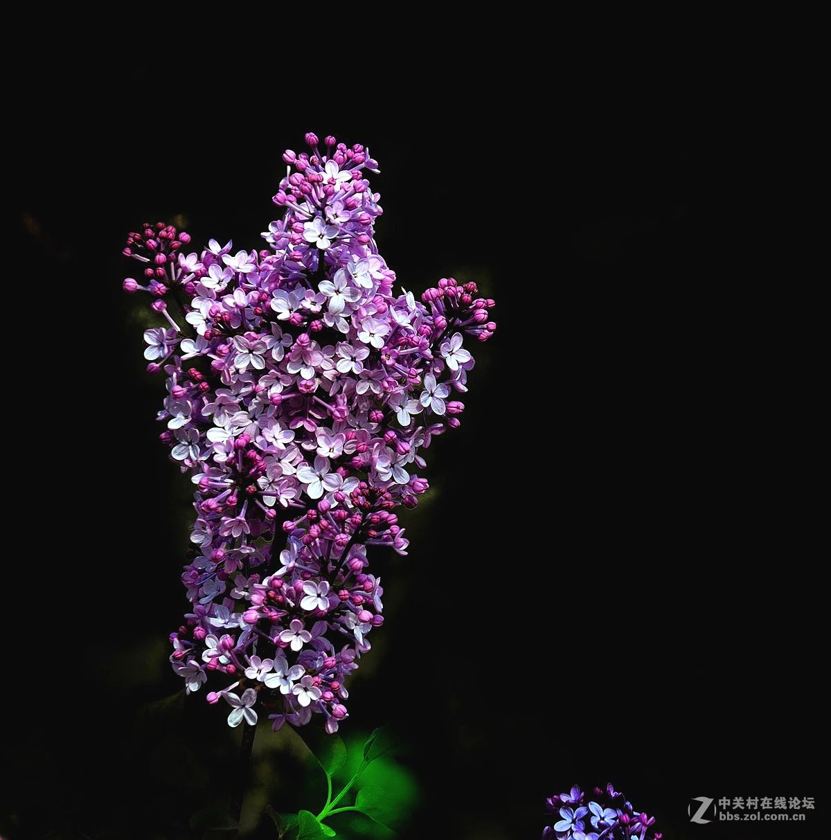 天津长虹公园随拍