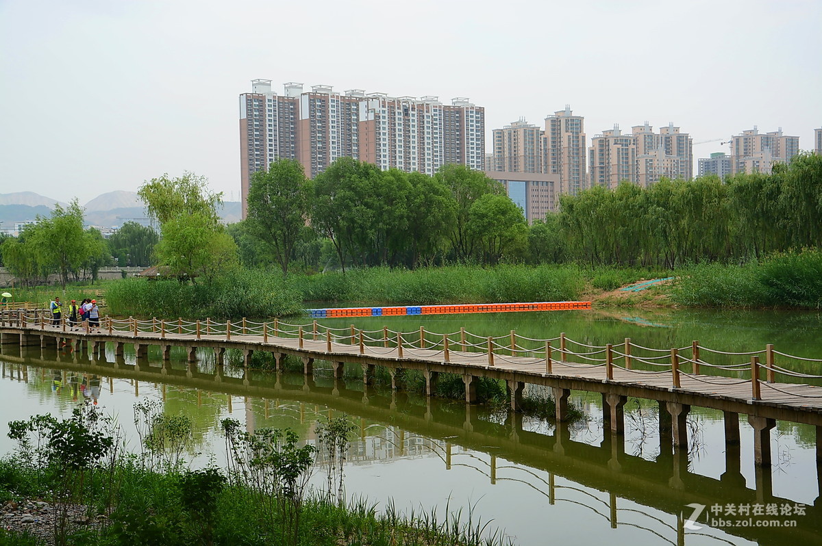 休閒好去處蘭州銀灘溼地公園