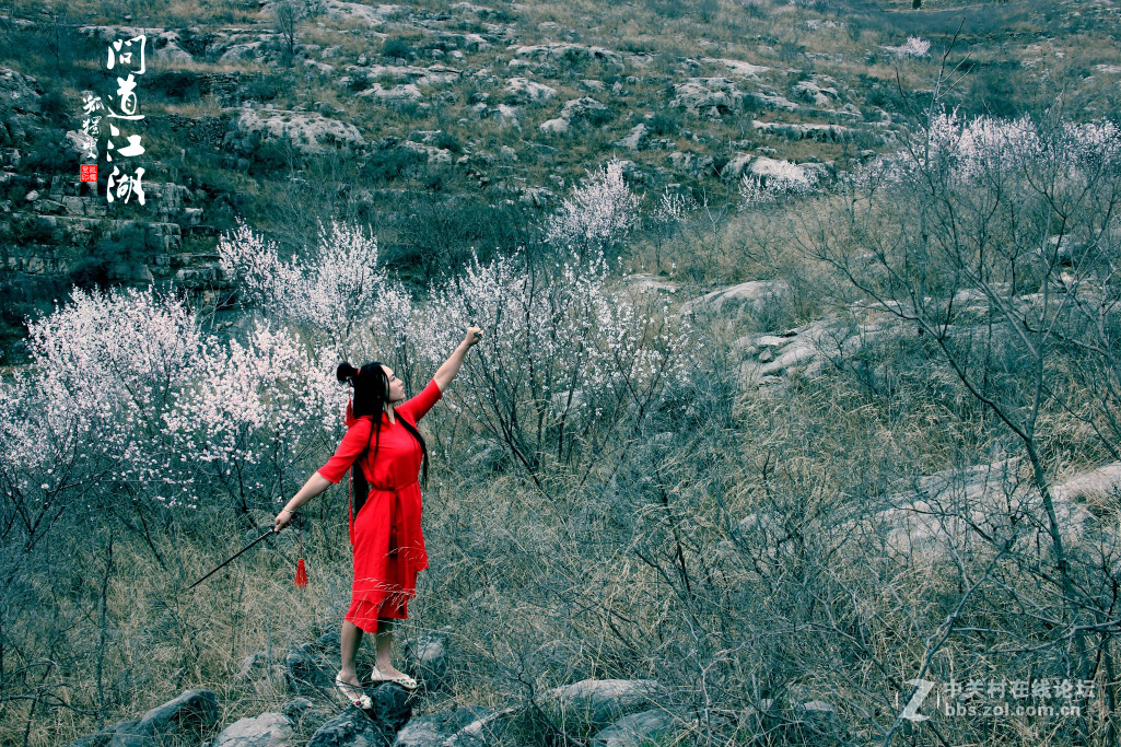 古装人像习作------【问道江湖】