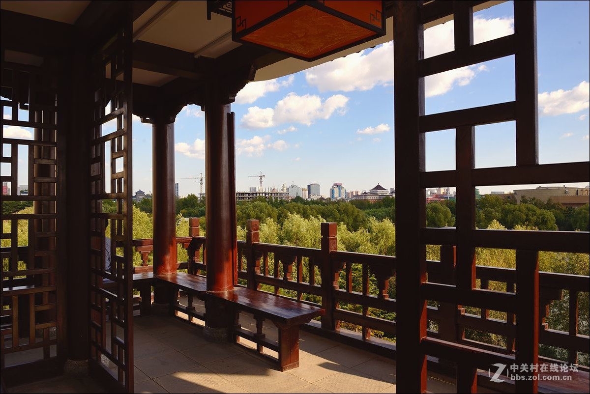 休闲随拍（361）