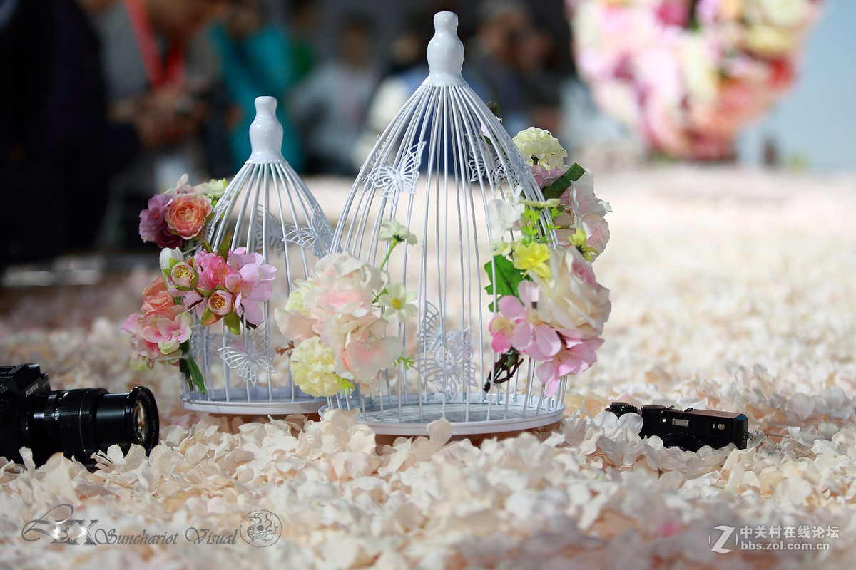 展览会上的静物