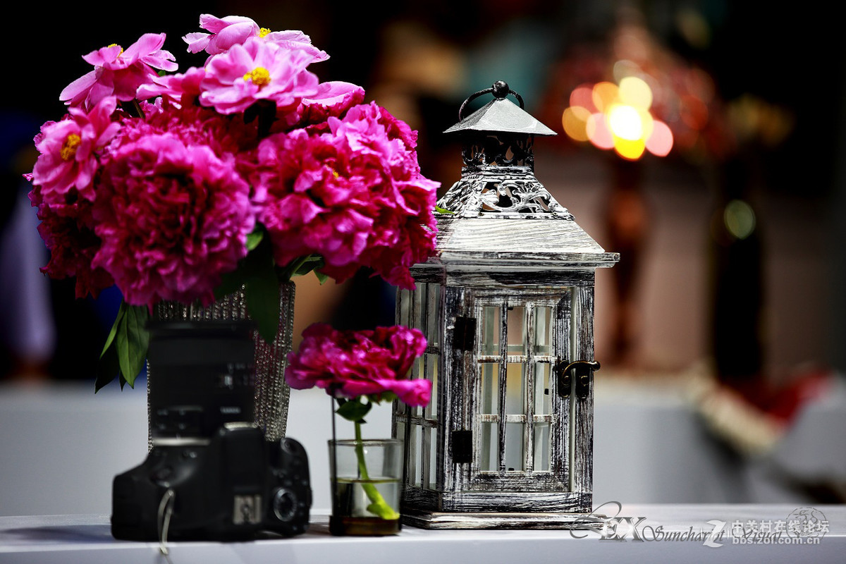 展览会上的静物