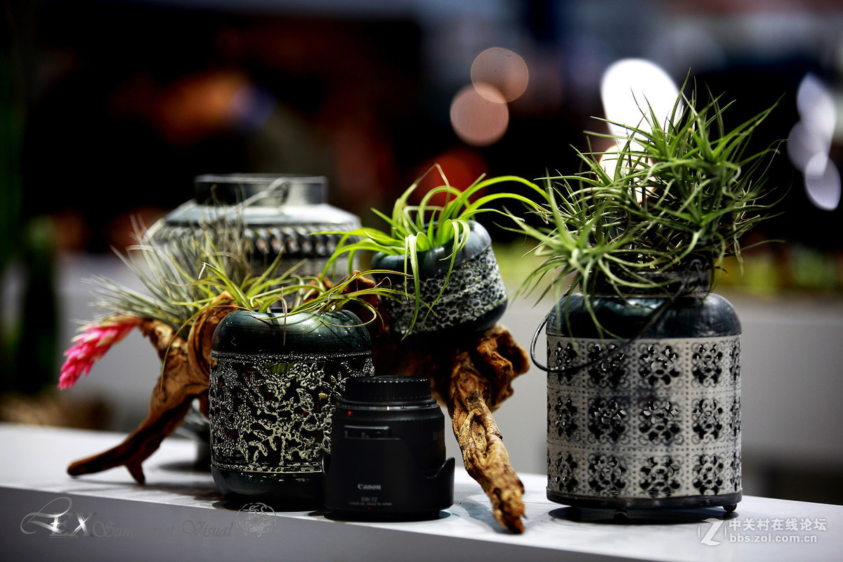 展览会上的静物