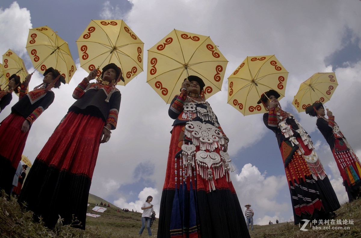 2017年凉山美姑剪羊毛节选美姑娘