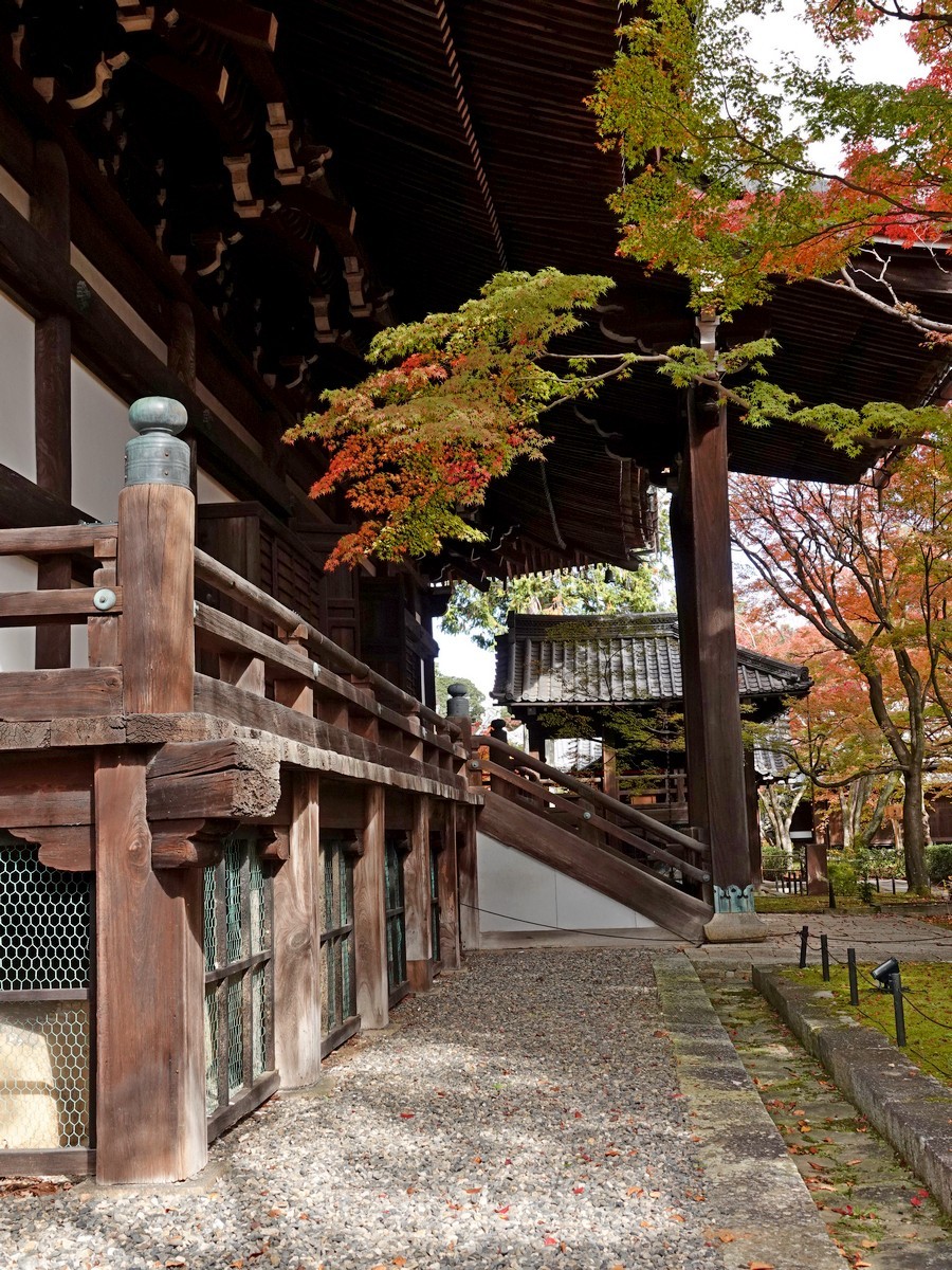 日本关西赏枫游4京都真如堂