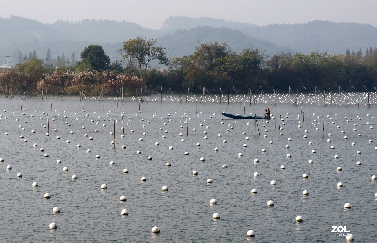 入手G5X2,杂乱拍的几张片片。