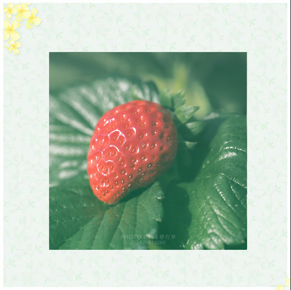 #ZOL月赛—你好2016# 小 鲜 肉  ... ...