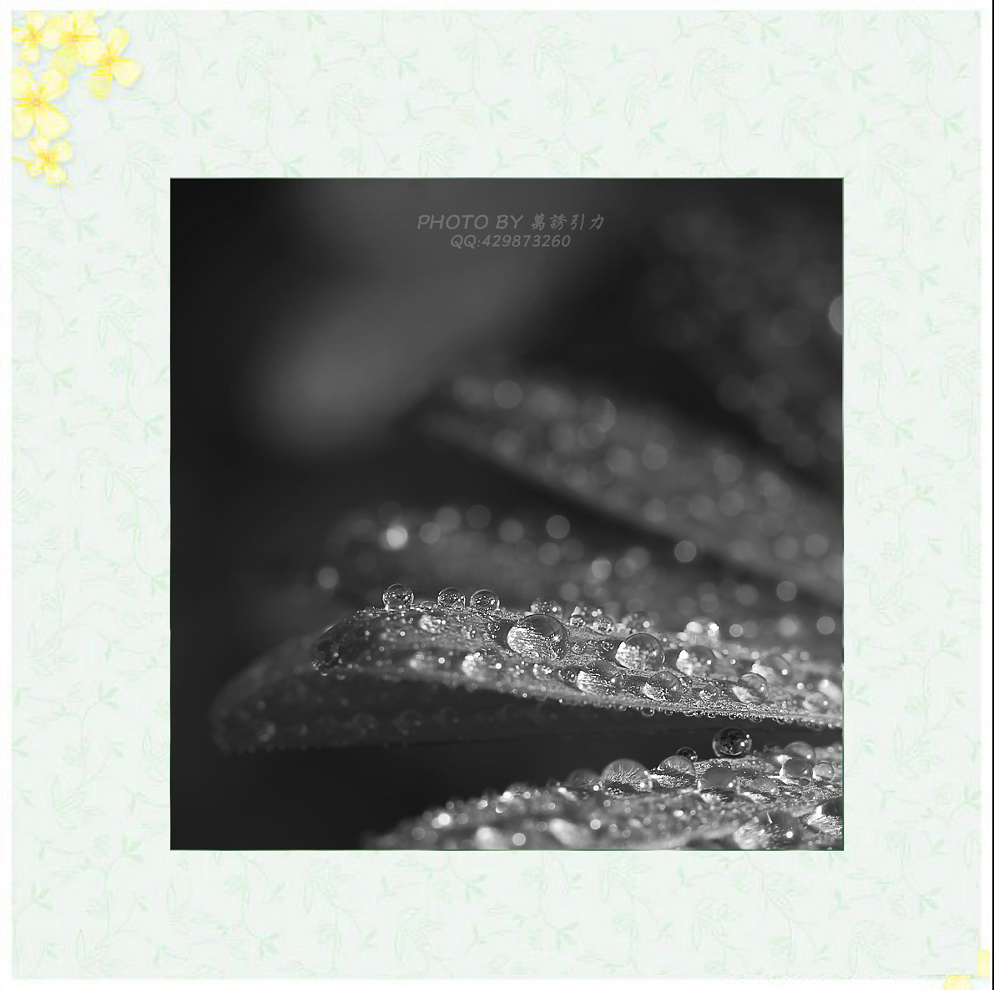 #ZOL月赛—你好2016# 小 鲜 肉  ... ...