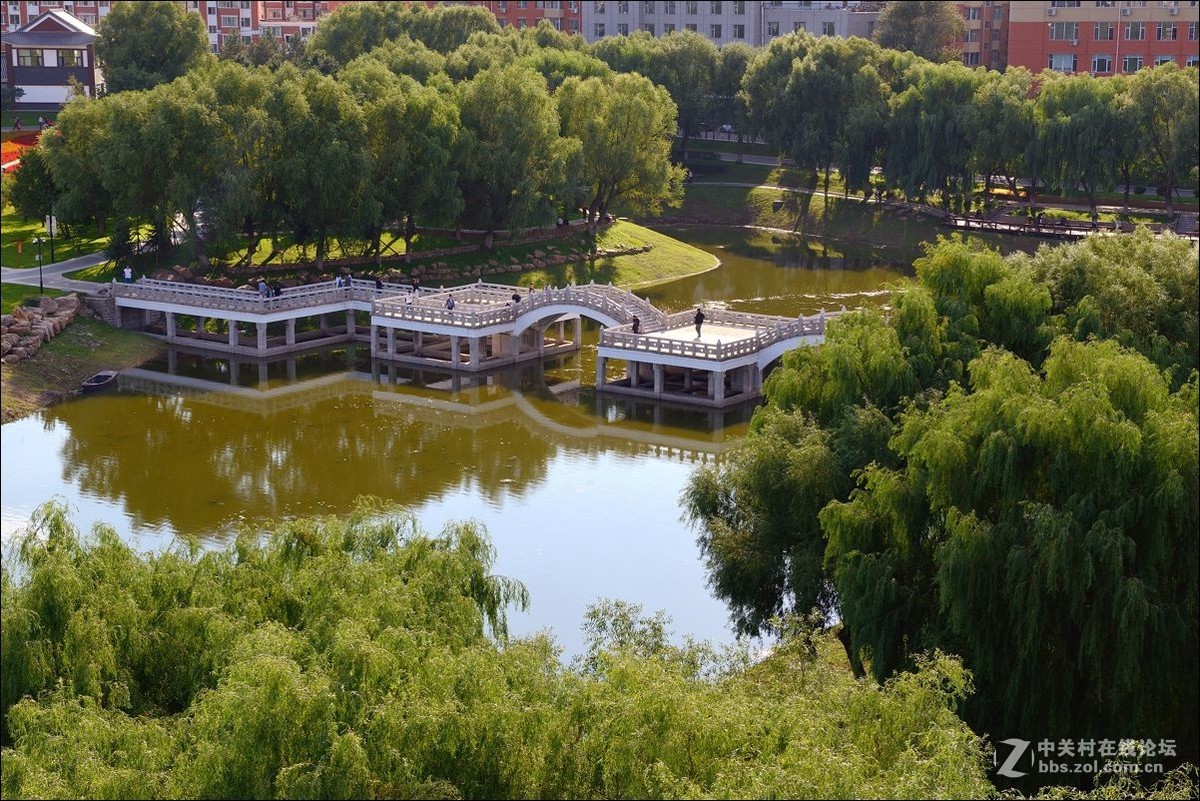 休闲随拍（361）