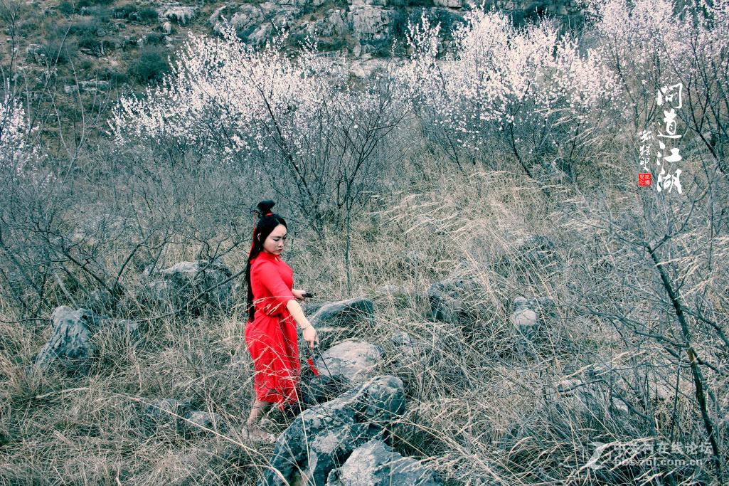 古装人像习作------【问道江湖】