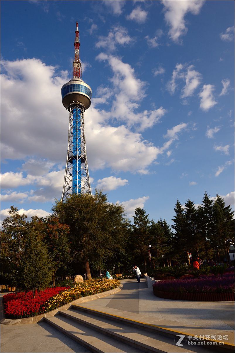 休闲随拍（361）