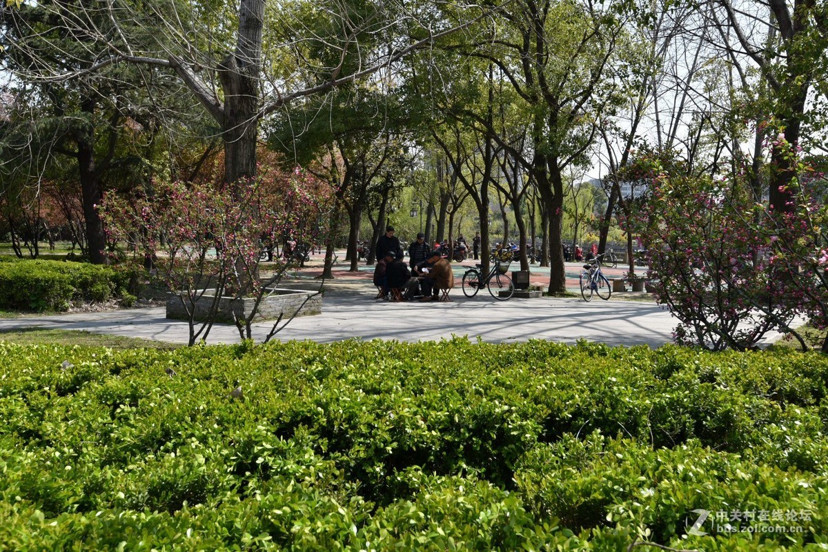 扬州三月自由行