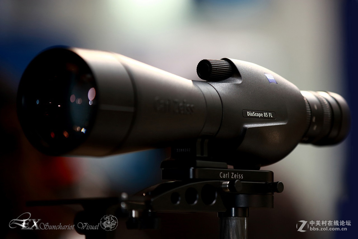 展览会上的静物