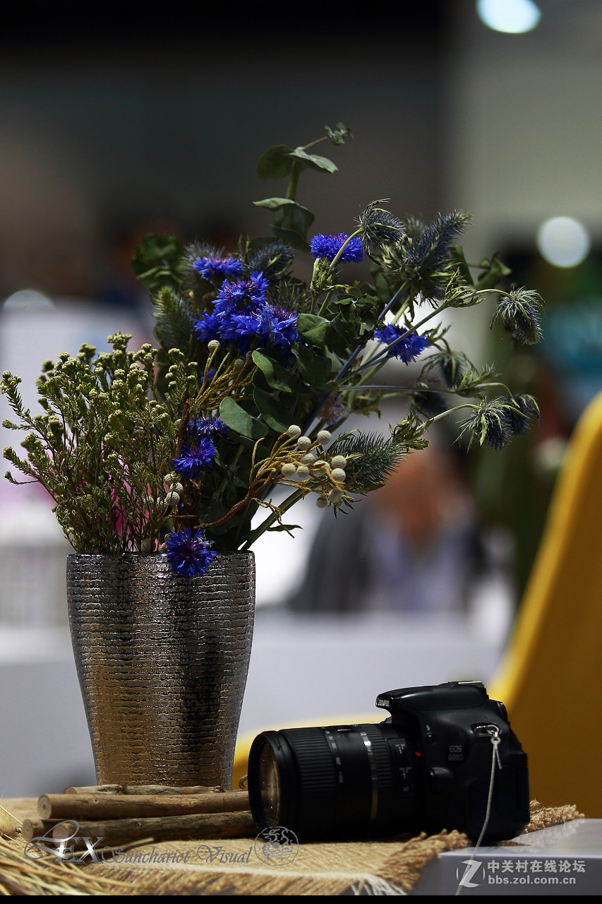 展览会上的静物