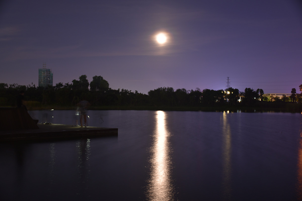 中山古镇灯都湿地公园