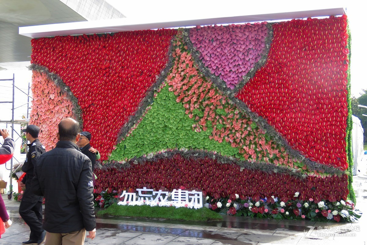 奇花异草在花展