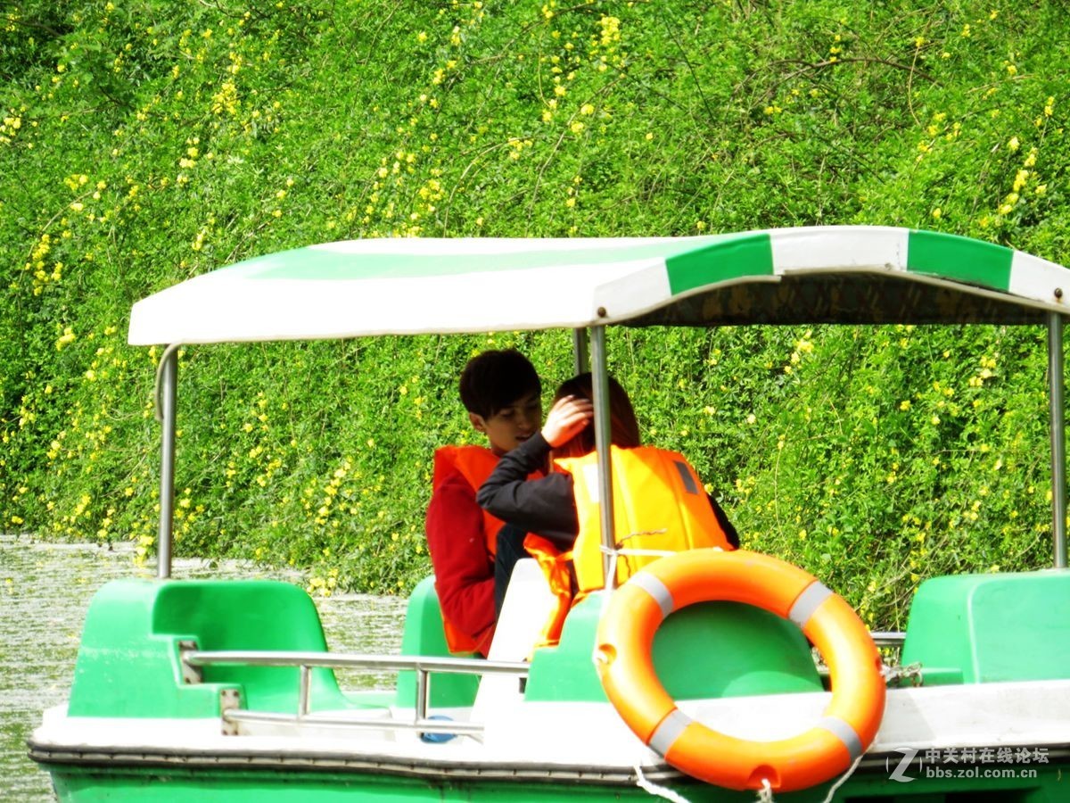 花卉系列【556】